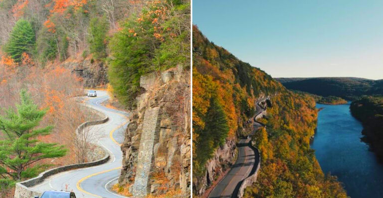 This Mysterious Road In New York Is One Of The Most Beautifully Bizarre Places In The Northeast