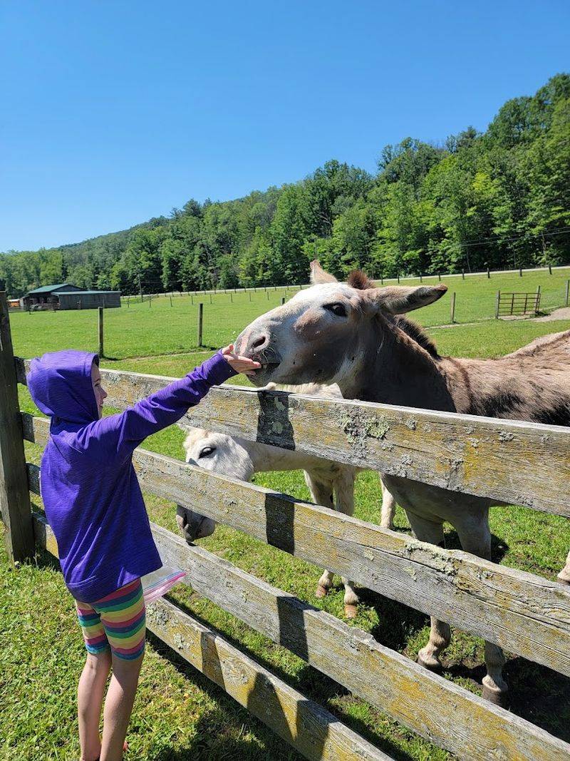 A Farm Experience That Feels Refreshingly Unhurried