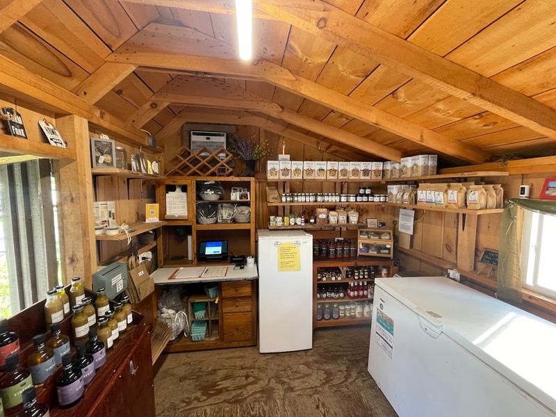 A Farm Store That Redefines What Fresh Really Means