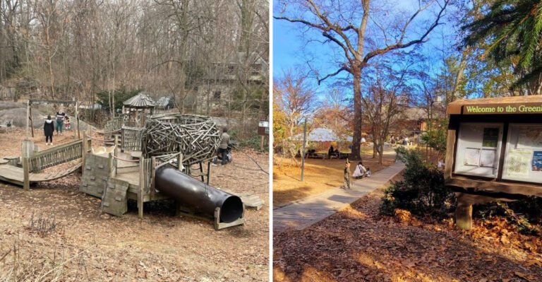 This New York Nature Playground Trades Plastic Playsets For Wooden Wonders, Forest Trails, And Wild Discovery