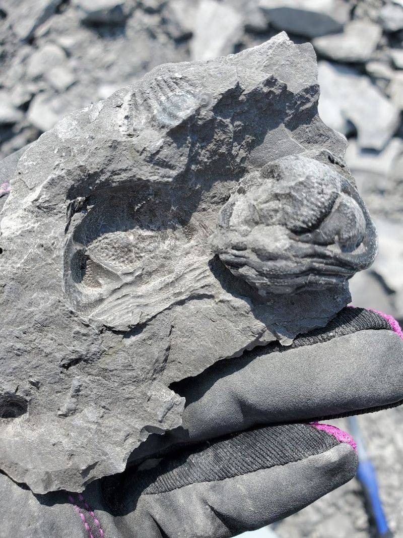 A Place Where Ancient History Lives Just Beneath The Surface