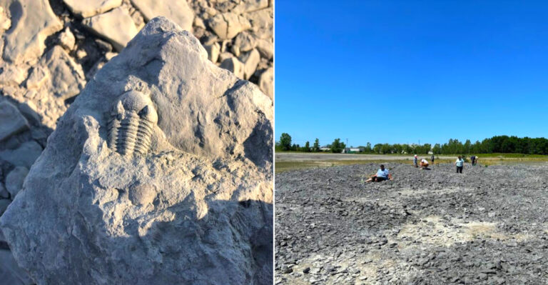 This New York Park Lets You Hunt Fossils From Hundreds Of Millions Of Years Ago And Reopens In May 2026