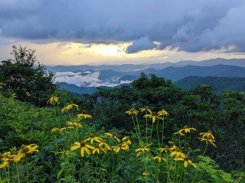 Everything Changes In The Shadow Of Mount Mitchell