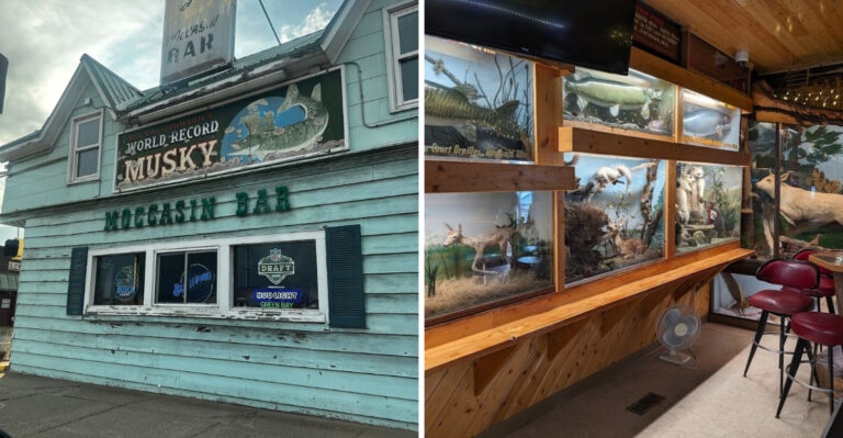 This Quirky Wisconsin Dive Bar Doubles As A Peculiar Taxidermy Museum