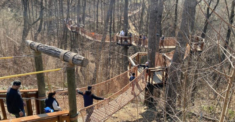 This Scenic Canopy Walk In Tennessee Feels Like A Hidden Retreat This Spring