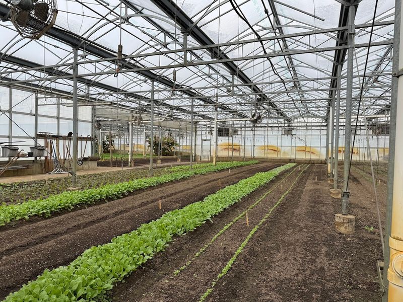 A Farm That Actually Feeds You Its Own Harvest