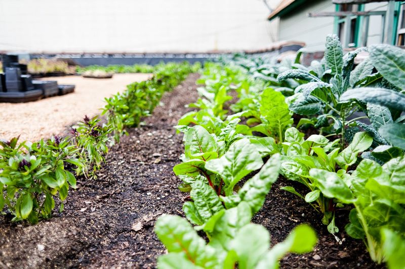 A Farm-To-Table Philosophy Built Around Local Wisconsin Ingredients