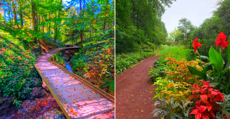 This Secret New York Hiking Spot Feels Like A Peaceful Escape Deep In The Woods