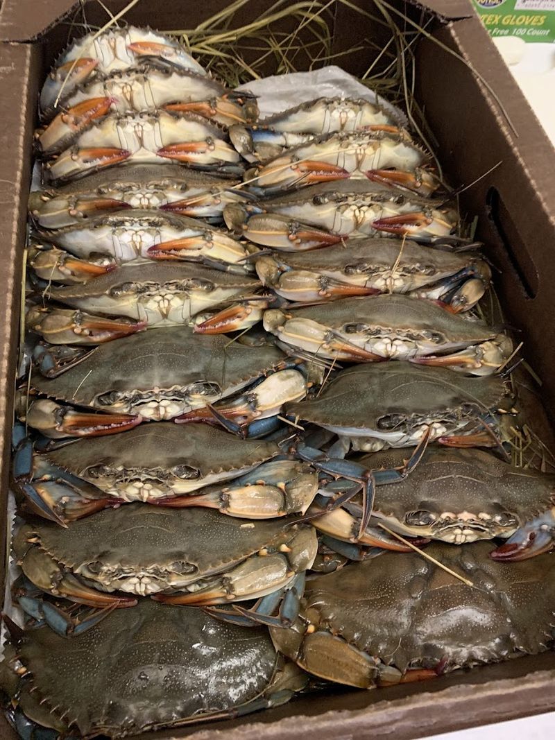 Origins And Evolution Of She Crab Soup