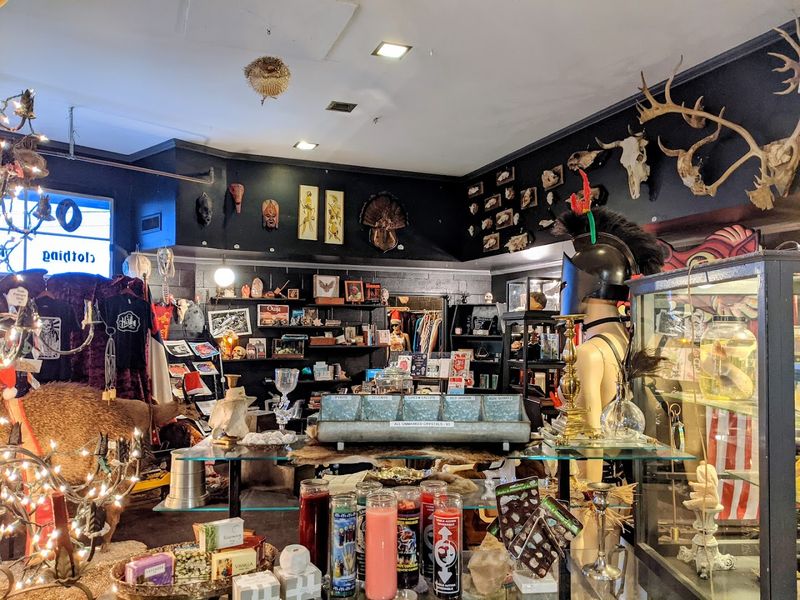 The Overall Atmosphere And First Impressions