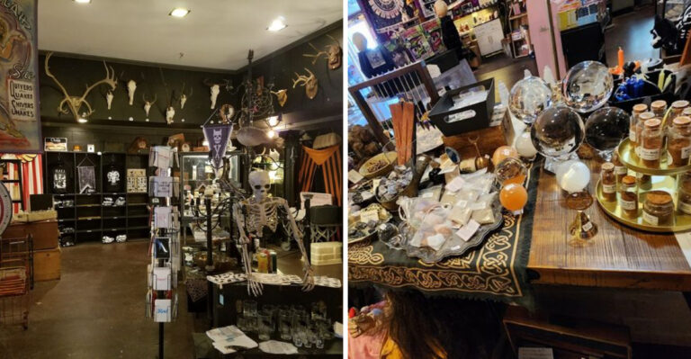 This Spooky-Themed Thrift Shop In Tennessee Is A Wonderland Of Oddities And Dark Art