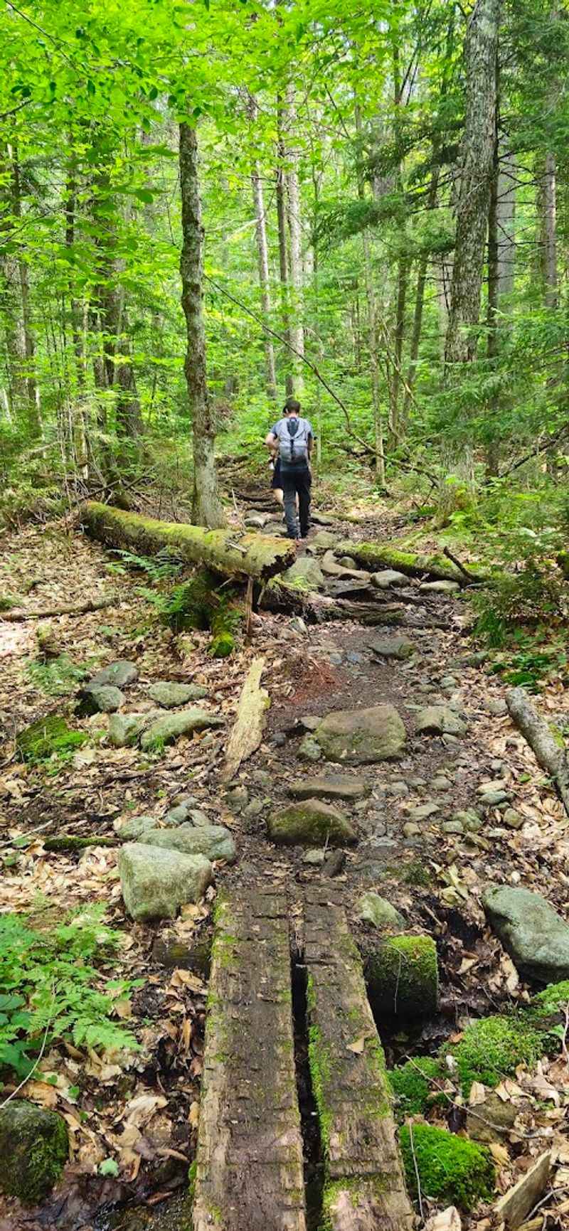 A Trail That Earns Its Reputation Before You Even See The Summit