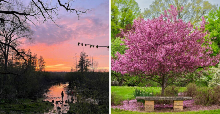 This Stunning Arboretum In Wisconsin Feels Like Stepping Into A Work Of Art
