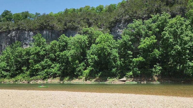 Understanding The Ecosystem And Its Importance