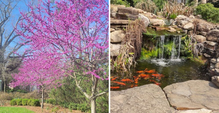 This Tennessee Botanical Garden Feels Like A Secret World In The Middle Of One Of The Busiest Cities In The State