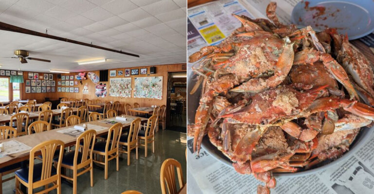 This Tiny Delaware Seafood Shack Serves Crab Cakes Worth The Trip