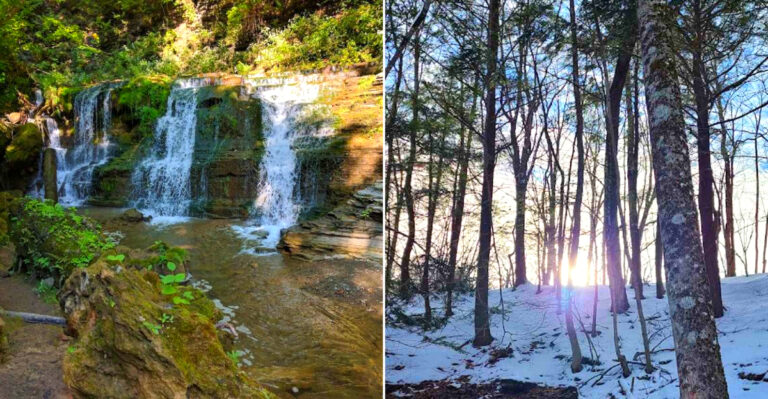 This Underrated New York Nature Trail Has Waterfalls, Hidden Caves, And A Peaceful Forest Walk Most People Don’t Know About