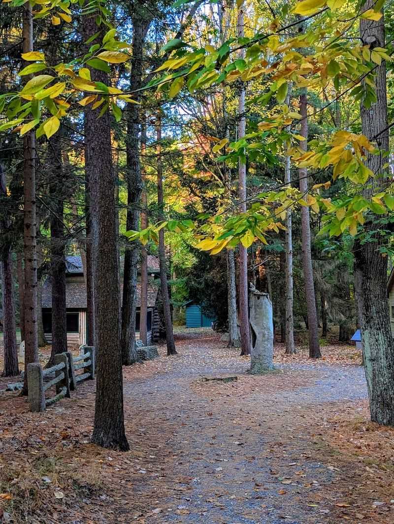 Woodland Setting That Feels Quiet And Undisturbed