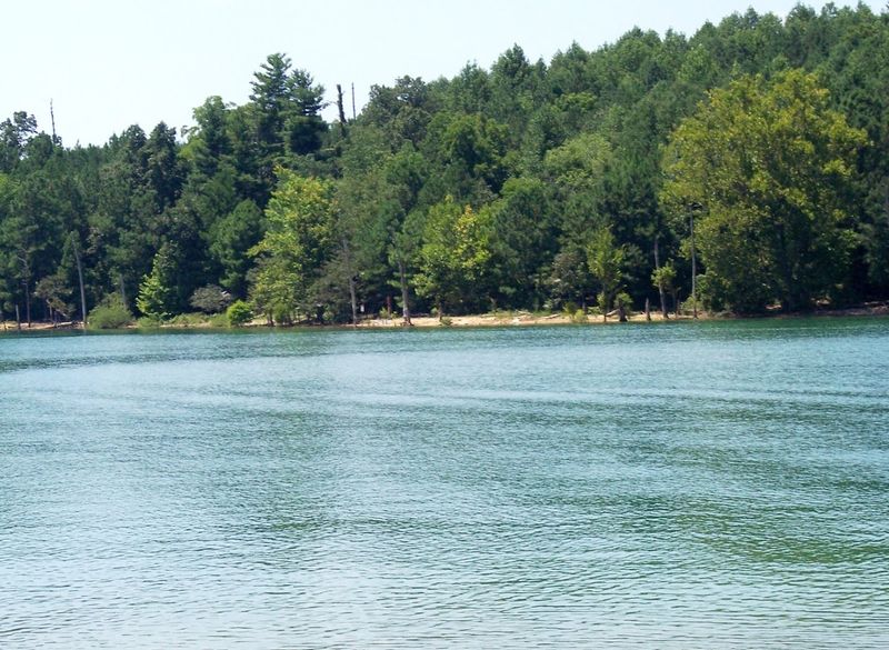 Norris Lake: The Crystal-Clear Water That Steals Every Conversation