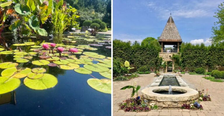 This Wisconsin Botanical Garden Has Lily Pads That Quietly Steal The Show