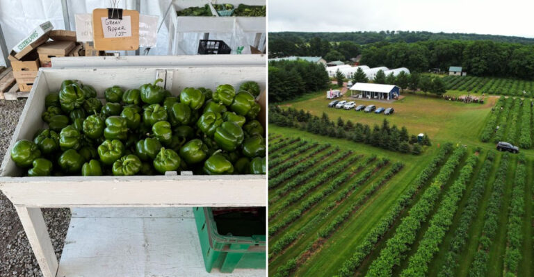 This Wisconsin Roadside Market Is All About Fresh, Local Farm Produce