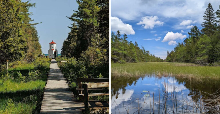 This Wisconsin Sanctuary With Hidden Boardwalks And A Lighthouse Feels Almost Magical