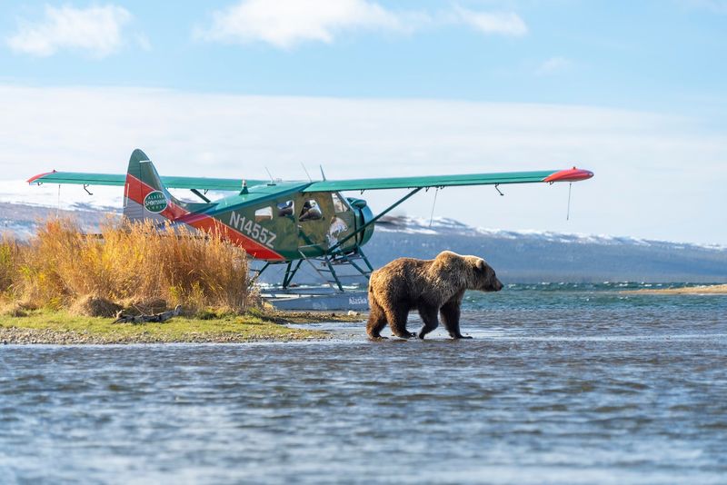 Reasons This Place Becomes An Annual Tradition