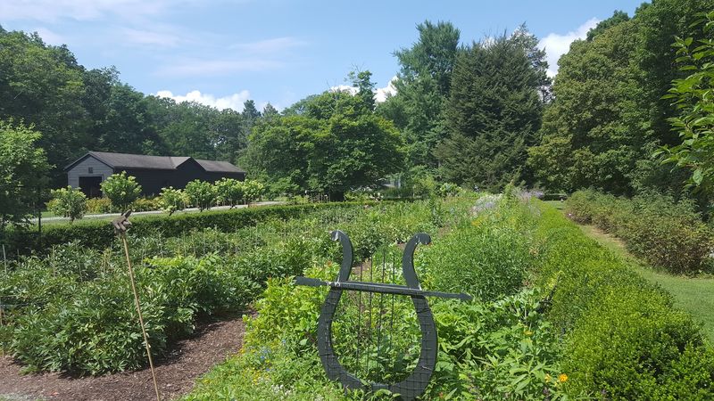 Livingston Manor (NY)