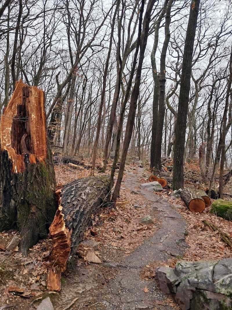 Natural Details That Make This Hike Even Better