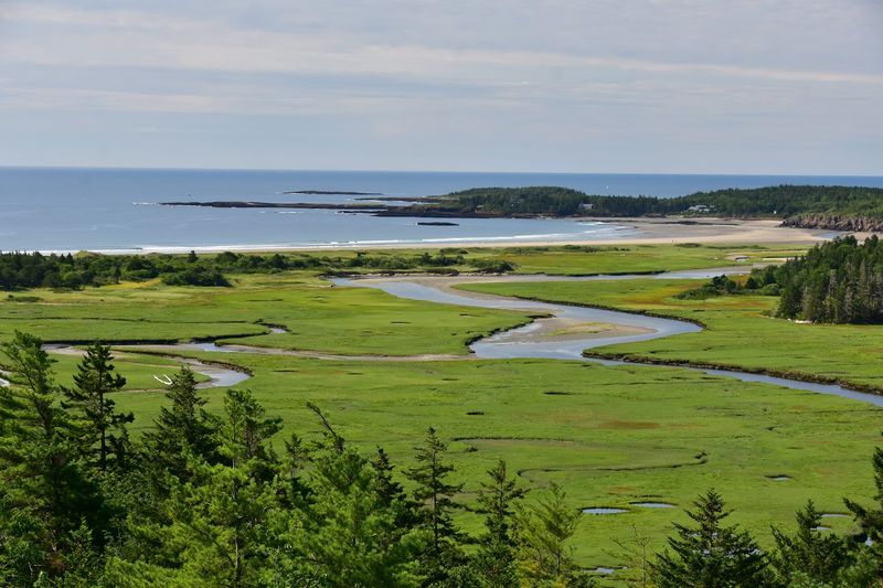 Ocean Wildlife Sightings Along The Path