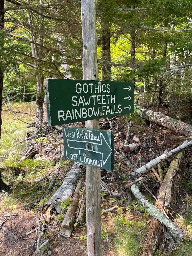 Wildlife And Natural Wonders That Share The Trail With You