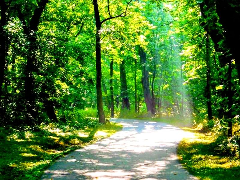 The Peaceful Atmosphere That Sets The Kingsport Greenbelt Apart From Busier Trails