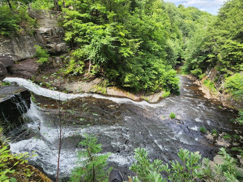 Wildlife And Natural Biodiversity Worth Paying Attention To