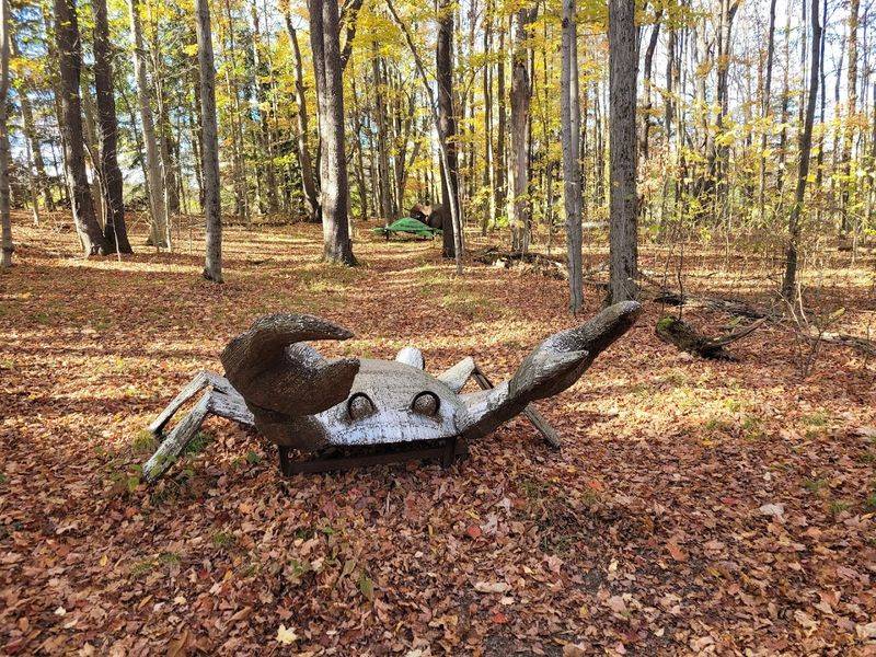 Fall Foliage And The Best Time To Go