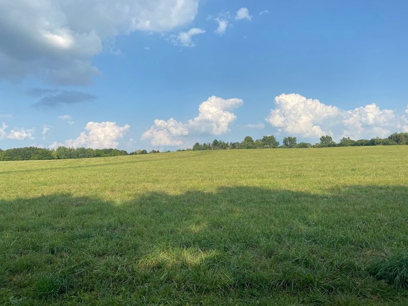 Natural Setting That Feels Calm And Uncrowded