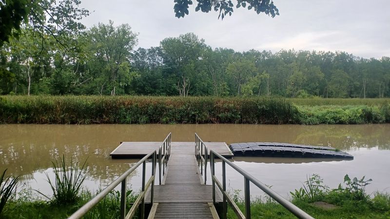 Birdwatching That Goes Beyond Casual Glancing