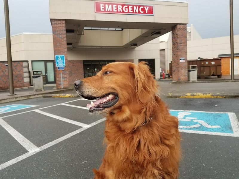 Safety And Emergency Services In The Region