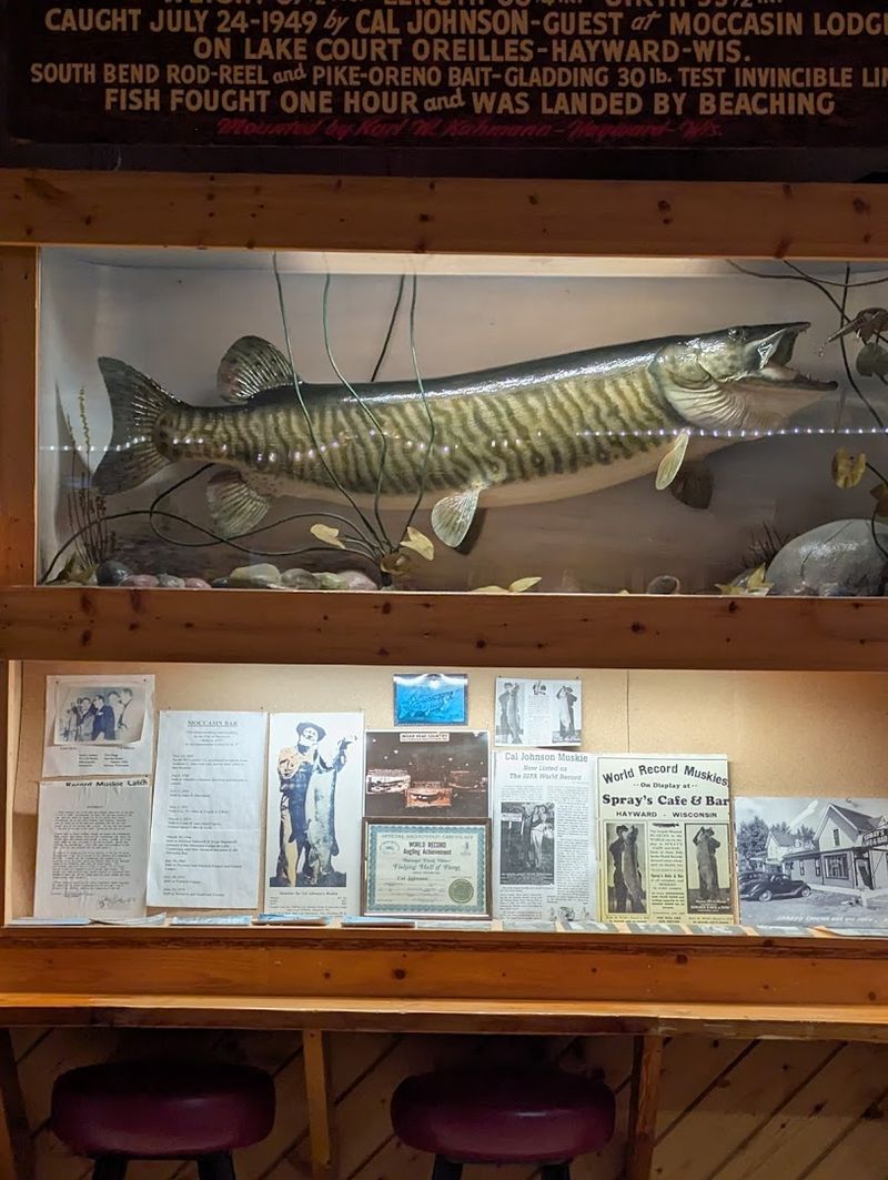 The Collection Includes Animals From Across North America