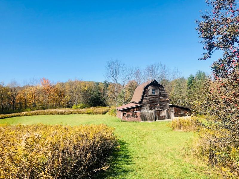 Franklin Mountain Hawkwatch
