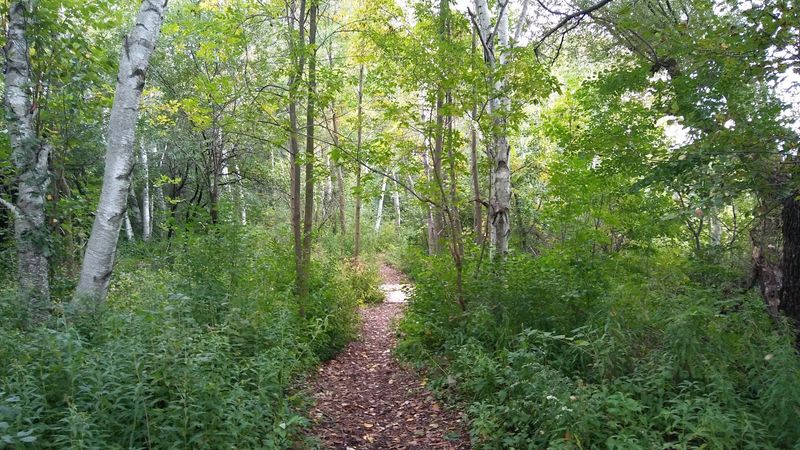 Old Plank Road Trail (Sheboygan–Greenbush, WI)