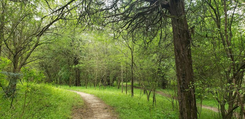 Shutes Branch Mountain Bike Trail, Old Hickory