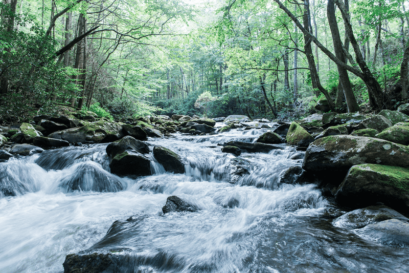 Tellico Plains, Monroe County