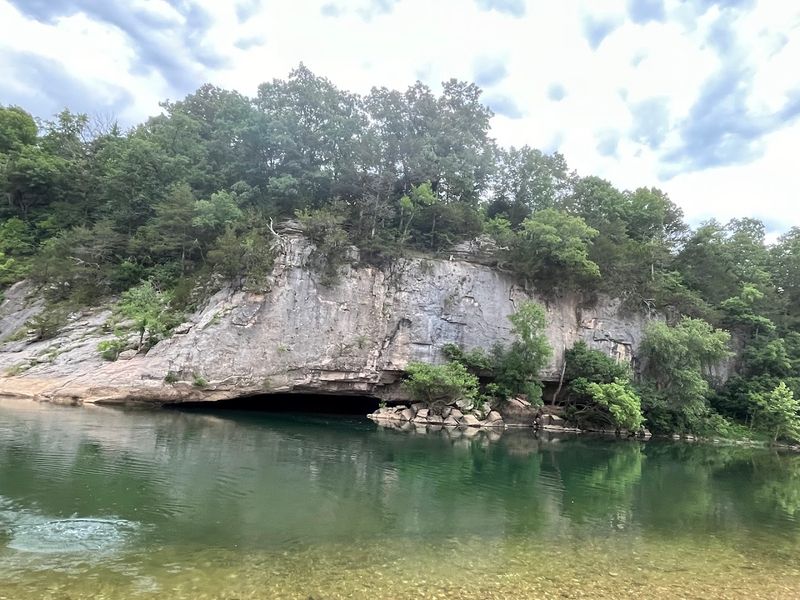 Identifying Native Fish Species In Clear Waters