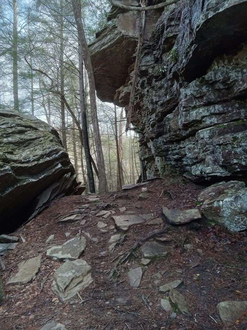 The Cable Climb Section And What To Expect