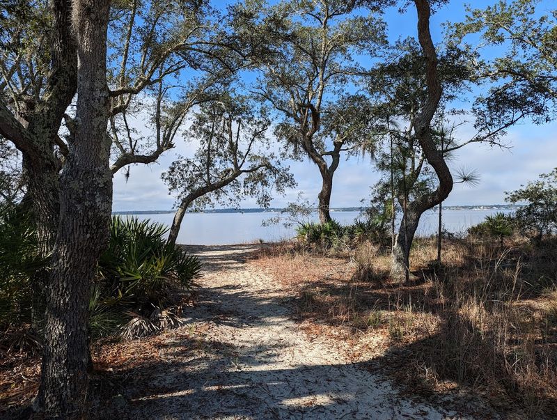 Diverse Wildlife Species And Birdwatching Opportunities