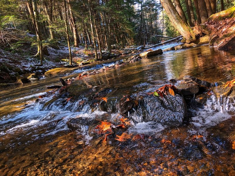 Seasonal Changes Impacting Landscapes