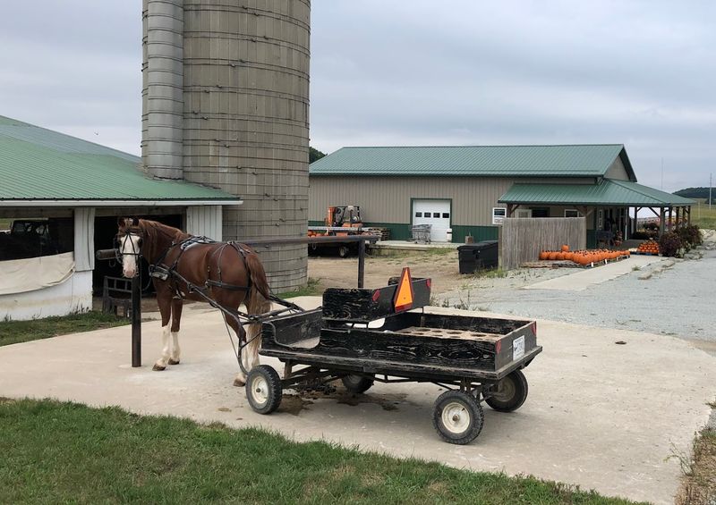 Community Engagement And Support For Local Farmers