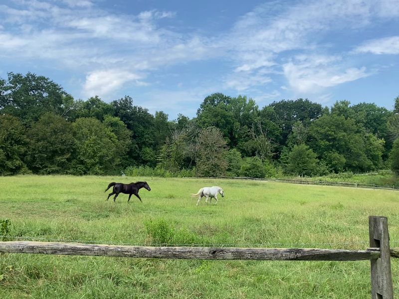 Reflection Riding Arboretum And Nature Center, Chattanooga