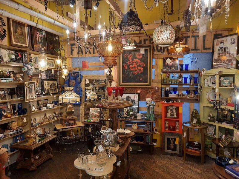 Salvage Shopping