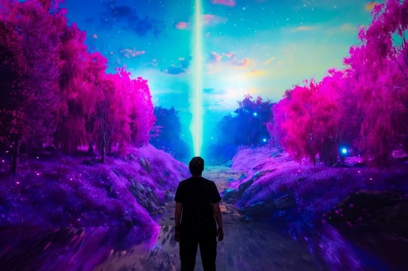 Explore A Pop-Up Event Or Temporary Exhibit